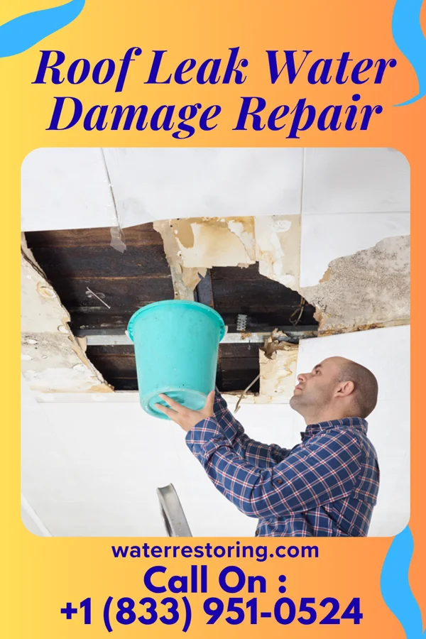 Roof Leak Water Damage Repair in Rosenberg, TX